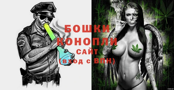 ешки Гусев