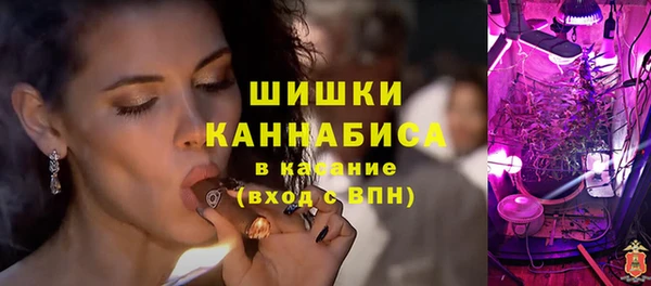ешки Гусев