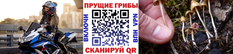 Псилоцибиновые грибы GOLDEN TEACHER  Обоянь 